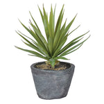 GREEN AIRPLANT IN GREY POT
